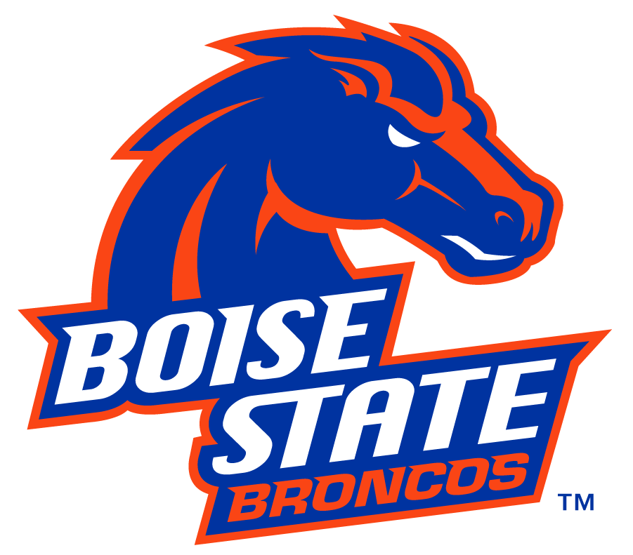 Boise State Broncos 2012-2013 Secondary Logo v2 DIY iron on transfer (heat transfer)